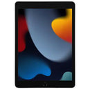 iPad 9 (WiFi)