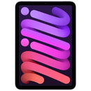 iPad mini 6 (WiFi + Cellular)