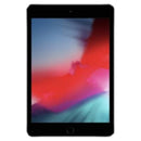 iPad mini 4 (WiFi)